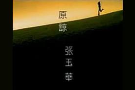 张玉华有哪些代表作品（张玉华是怎么走红火的）