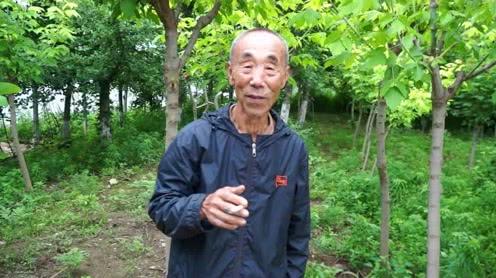 82岁老人独守山沟创业8年，只为打造放心食品，养出鸭蛋是正常两倍