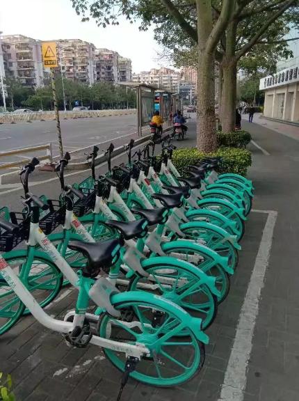在鼓楼区摆放整齐的青桔共享单车