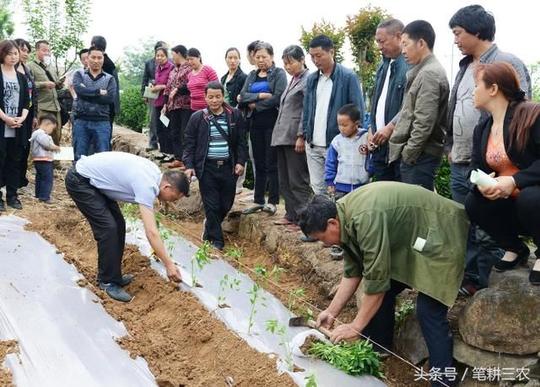 农村这三大行业是返乡创业的不错选择,把握住时机,就能赚大钱!