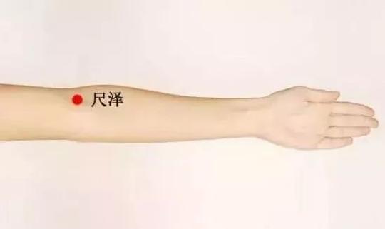 百岁快车《养生专栏》膝盖麻木,酸,痛胀?跪膝一周,让你爽气一年