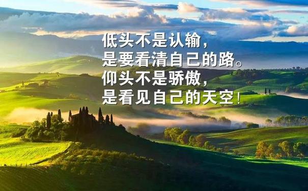 經典人生感悟短語大全經典語錄勵志人生感悟長句與出處