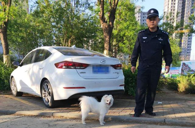 遛狗栓绳入法
