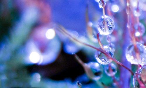 2020喜迎元旦发朋友圈祝福语图片