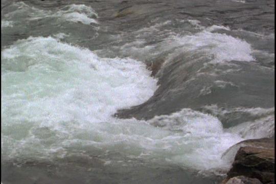 河水视频素材