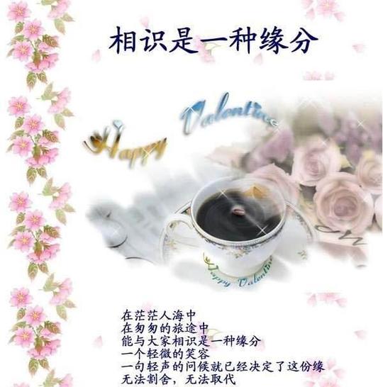 40种常用花卉花语是什么?+-+养花百科