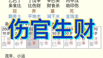 探秘八字判贵贱，哪种算法更精准