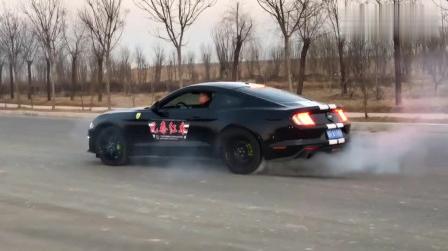 福特野马车友会