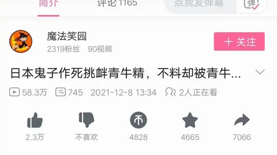 近日有多起盗视频案件启发，请各大up严加防范，以免快手那些狗崽子盗视频