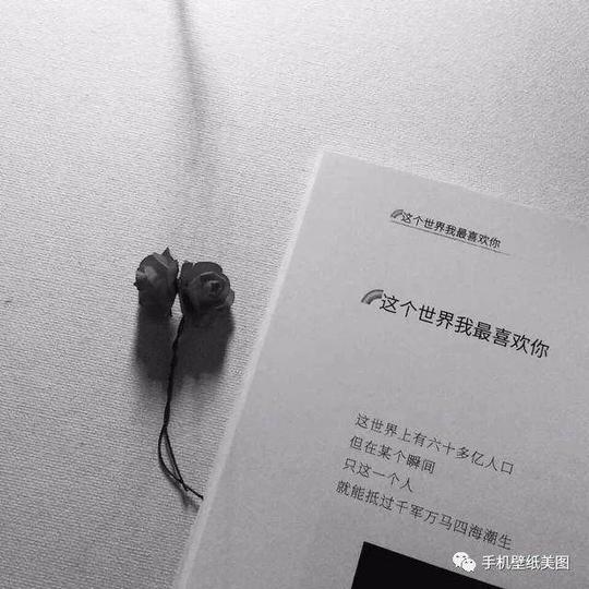 抖音封面图,文字背景图ps:原版高清无水印版请+微信公众号搜索"手机