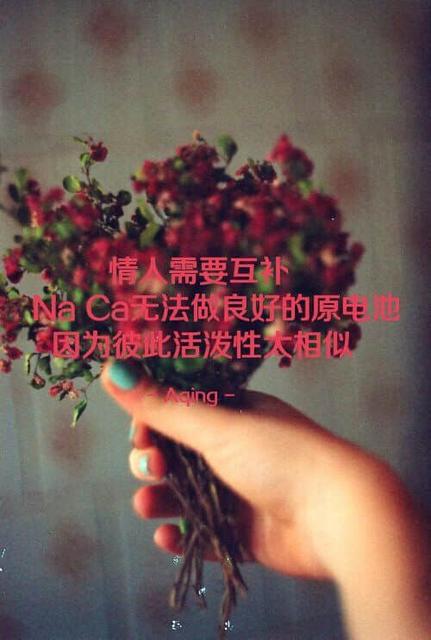 2019最后两个月的说说