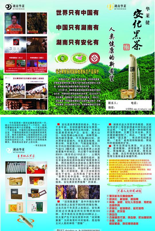 湖南华莱安化黑茶