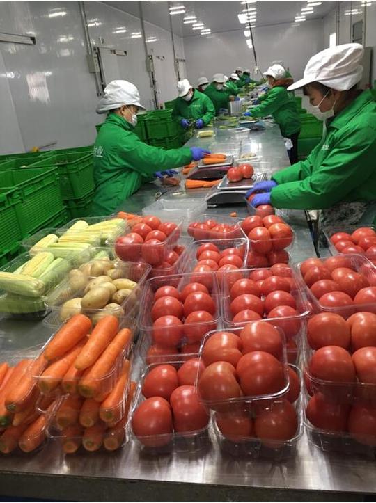 库房科技化,现代化等优势,实现蔬菜从基地到配送的无缝对接,缩短中间