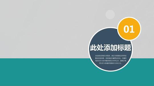 未来阳光欧美高端商务创业计划ppt模板商业计划书素材ppt模板(4)