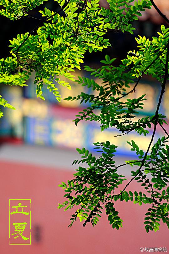 节气·立夏