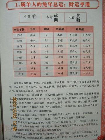 2025生肖兔运势查询(生肖兔202年运势及运程)