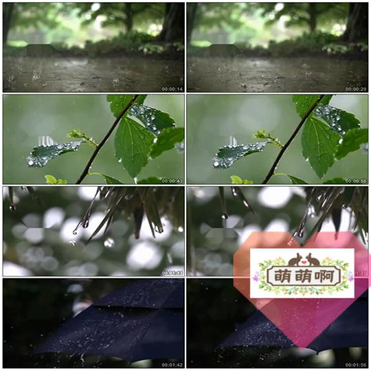 房产园林空镜头雨天下雨慢镜头水滴意境意向雨伞树叶视频素材