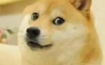 双马尾女生感谢谢谢鞠躬表情包