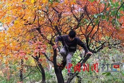 7个月宝宝乱扔东西怎么办