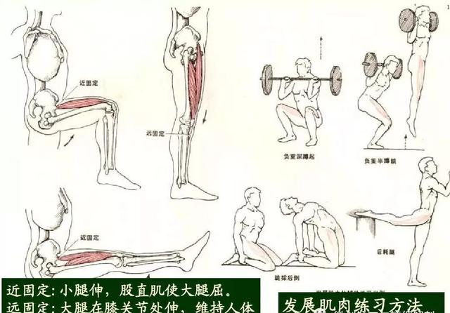 如何检查宝宝肌张力正常是多少