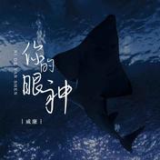 你的眼神(威廉)