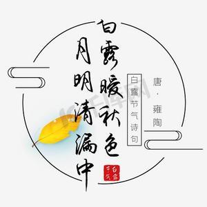 关于白鹭的古诗句有哪些?