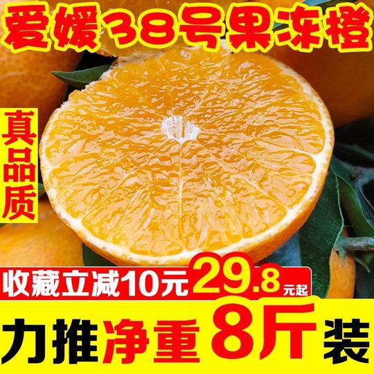 爱媛38号果冻橙当季新鲜水果橙子爆汁无核非脐橙新鲜橙子果冻橙37