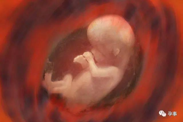 胎儿胎动在右侧与性别有关吗
