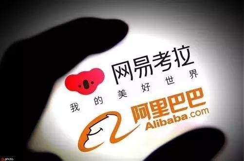 丁磊握手马云:阿里20亿美元迎娶考拉