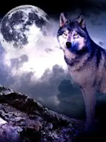 狼壁纸动态壁纸 头条搜索