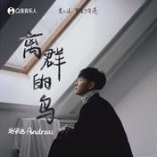 离群的鸟(施安迪Andreas)