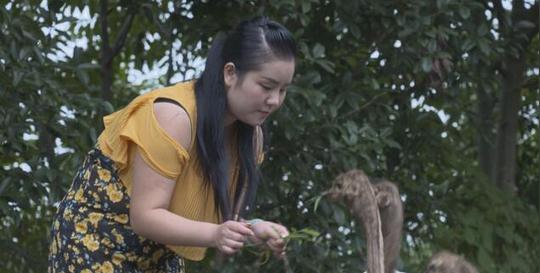 四川江油80后创业女青年任雯雯鸵鸟养殖观光园驮来别样财