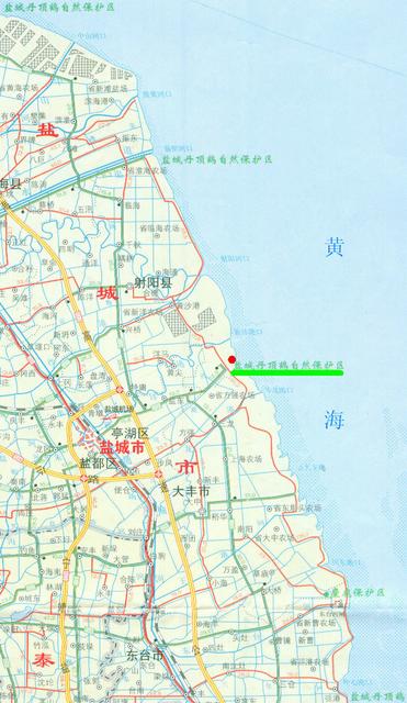 中国候选国鸟的越冬地——盐城