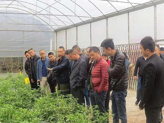 微商基地加盟创业致富的好项目