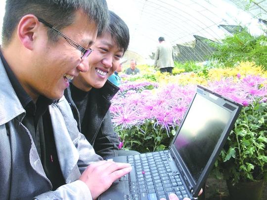 万民孙春兵/摄右图:丰县凤城镇大学生村官成立了花卉项目创业示范