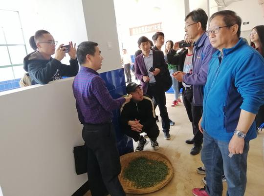 我校学生创业团队在临沧高级技工学校交流指导大叶种绿茶加工