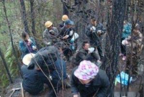 为什么上天不让蛇渡劫(上海渡劫是真的我在场)