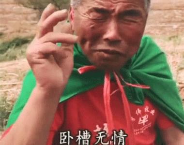 抖音卧槽无情表情包大全抖音搞笑斗图表情包合集