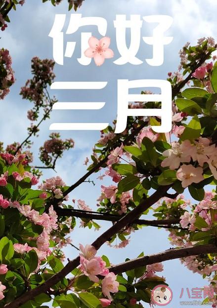 阳春三月|阳春三月说说文案大全阳春三月朋友圈优美文字