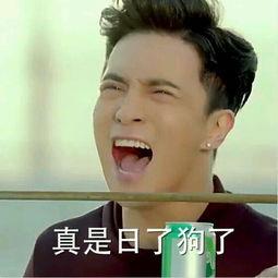 我真是日了狗了搞笑表情包