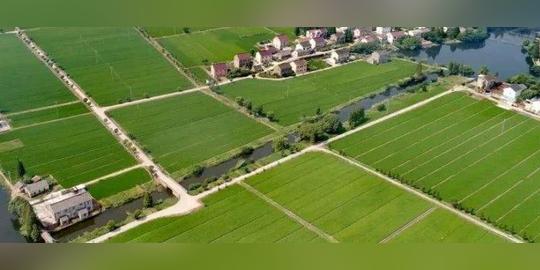 如何推进农业绿色发展，农业绿色发展包括哪些