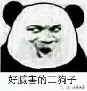 看起来很符合我的条件呀二狗说我语重心长地对二狗说,狗子,你变了.
