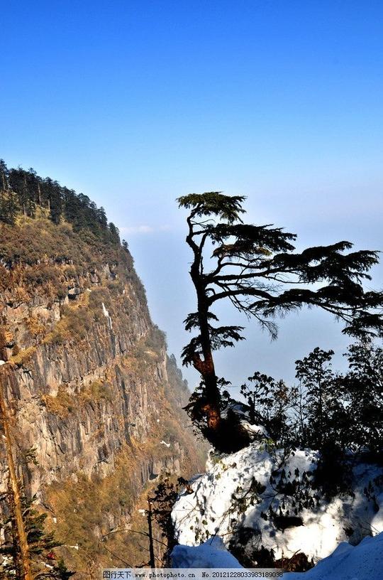 傲松松树迎客松大山大石云海黄山摄影国内旅游旅游摄影