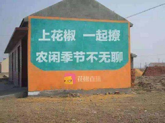 小米要把店开到乡下,原来农村刷墙广告也这么赚钱啊?