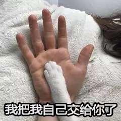 情侣激情爱抚爱情gif动图