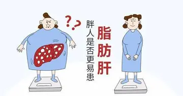 山东22岁女生节食减肥瘦出脂肪肝，关于脂肪肝的病因及预防方法讲解