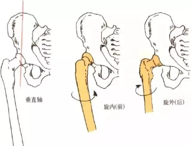 宝宝0型腿怎么办贴吧