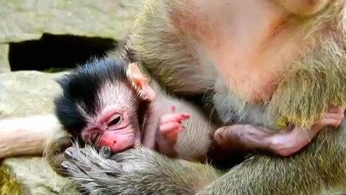 宝宝刚出生多久喂一次奶粉