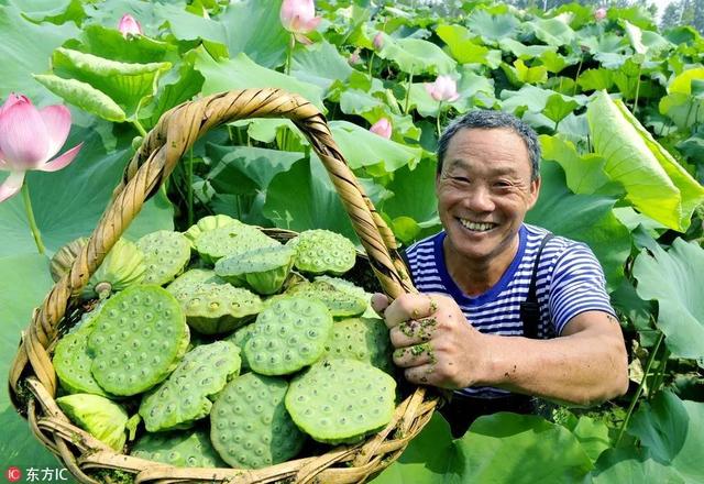 秋分节气简单一句话祝福语2020