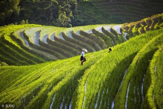 文叶之旅《路在脚下,路由心生,修心养路,悦享人生》